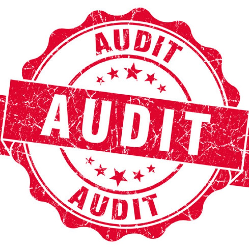 Audit Report for 2015