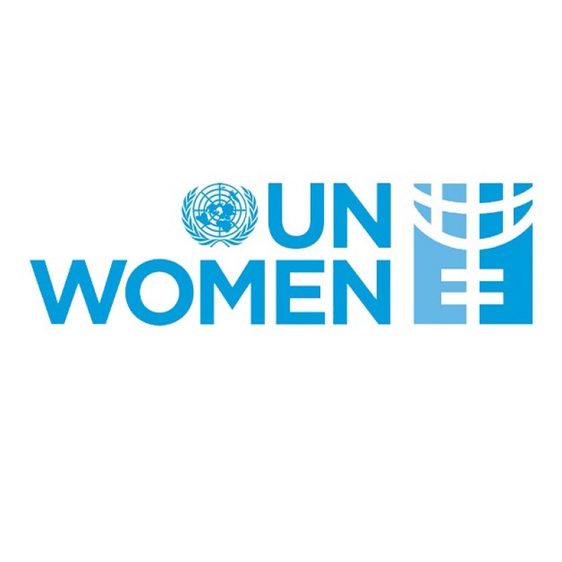 UN Womens Working Meeting